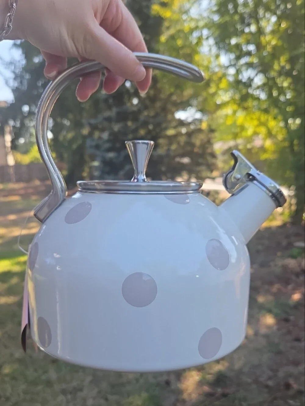 lenox kate spade polka dot tea kettle